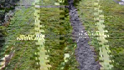 Chính chủ bán lổ, bán gấp lô đất ở Ấp Thanh Bình Lộc An. 123m2 thổ cư