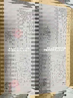 Chính chủ cần bán gấp căn chung cư View Sông trực diện