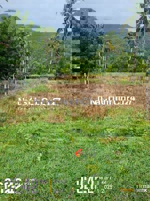 CHỦ NGỘP CẦN BÁN ĐẤT VỊNH RANH