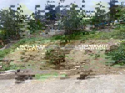 Bán 312,5 m2 Đất Chính Chủ tại An Duyên, Đại An, Nam Định