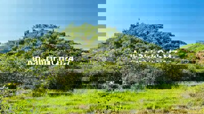 Chính chủ cần bán lô đất tại Cát Tiên Lâm Đồng tổng diện tích 4,7ha