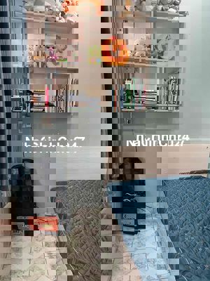 CHÍNH CHỦ CẦN BÁN CHUNG CƯ LẦU 3 ĐƯỜNG LÊ SÁT