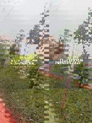 mình chính chủ cần bán căn nhà số phòng riêng