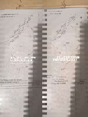 Bán đất chính chủ