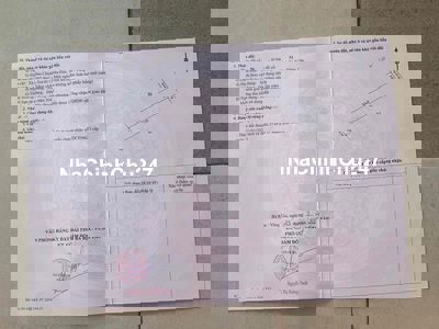 Chính chủ bán mảnh vườn tâm huyết trồng cây ăn trái hướng 100% hữu cơ