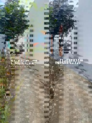 Chính chủ cần bán gấp gần chợ mới Lai Nghi