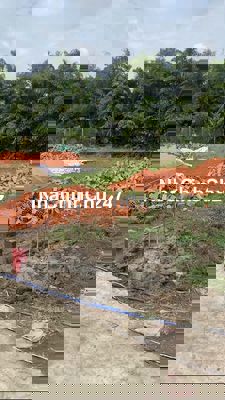 Chính chủ bán 110m2 đất thổ cư SHR Thuộc Mỹ Lộc,Cần Giuộc Cách SG 12km