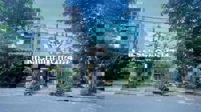 Chính chủ bán Cặp Tùng Thiện Vương Nam Việt Á