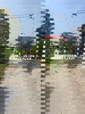 CHÍNH CHỦ CẦN BÁN GẤP ĐẤT MẶT TIỀN ẤP RỪNG DẦU