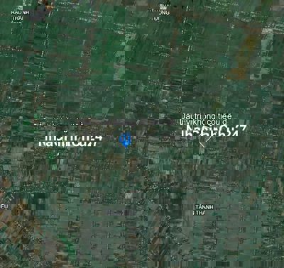 Bán đất vườn sổ hồng chính chủ, diện tích lớn 10000m2