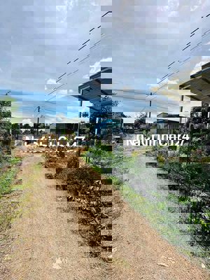 nhà cần bán đất  chính chủ