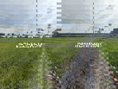 CHÍNH CHỦ RA NHANH ĐẤT NGUỒN F0 ĐÓN ĐẦU CẦU CÁT LÁI | GIÁ 3 TRIỆU/M²