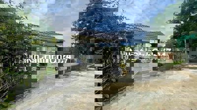 Chủ kẹt bank bán gấp căn vườn 1300m2 giá 240tr