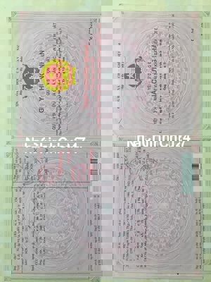 Chính chủ cần bán đất Hùng Vương, Vĩnh Thanh gần Bọ Cạp Vàng