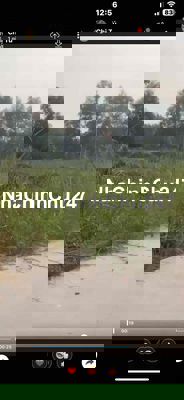 CHÍNH CHỦ CẦN BÁN ĐẤT LONG AN