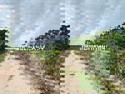 Bán 1006m2 đất Tân Bình - LaGi giá ngộp 700 triệu chính chủ