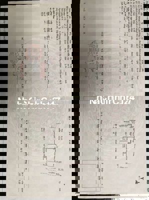 Chính chủ Bán nhà Phường 5 Đà Lạt – Đất ở 74,8m² – Sổ riêng xây dựng