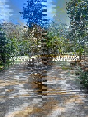 chủ cần ra gấp lô đất vườn cây ăn trái ở tp HCM chỉ 450tr