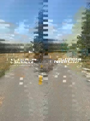 CHÍNH CHỦ GỬI BÁN 1.900M² MẶT TIỀN ĐƯỜNG NHỰA  32M – GẦN CHỢ, TRƯỜNG