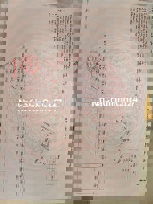 Chính Chủ Cần Bán Gấp Nền ThổCư Vị Trí Đẹp _ Giá Tốt