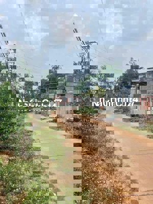 gia đình cần bán 6000m2 đất chính chủ