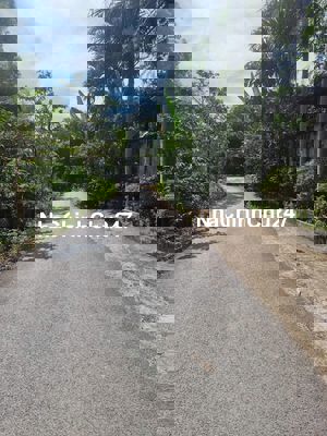 Chính chủ cần bán gấp đất