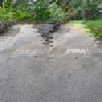 CHÍNH CHỦ BÁN ĐẤT BẾN CÁT