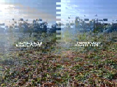 Bán đất chính chủ buôn Eakmat