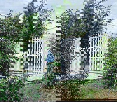 Chính chủ cần bán vườn sầu riêng hơn 1000m2 giá 170tr không phát sinh