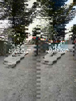 2 TẦNG - HXH - NGAY UBND P.THUẬN - 4 * 15 -SỔ RIÊNG -CHỦ LÂU NĂM - 5.x