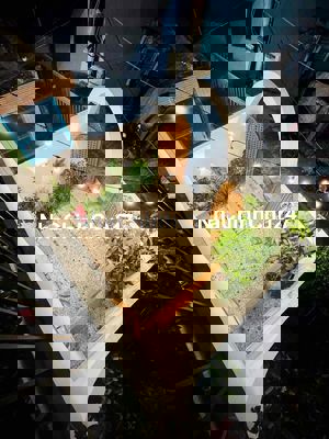 Chính chủ gửi bán nhà full nội thất -Hoà An Cẩm Lệ