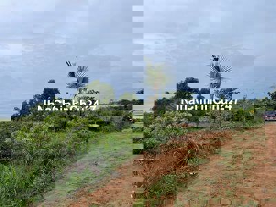 Chính chủ bán 1ha1 ( 11000m2) view suối xã Hòa Hội