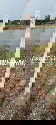 CHÍNH CHỦ CẦN BÁN GẤP 1.500M2 ĐẤT BÌNH KHÁNH – ĐẦU TƯ SINH LỜI CAO