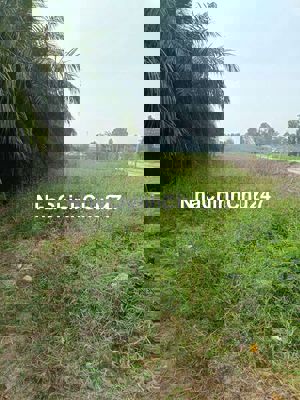 Bán đất chính chủ