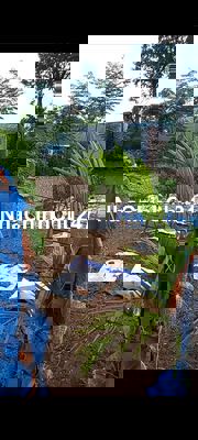 Đất ở sổ đỏ, 260m2, Tả Thanh Oai, đẹp, sổ chính chủ, nhanh gọn TL nhẹ