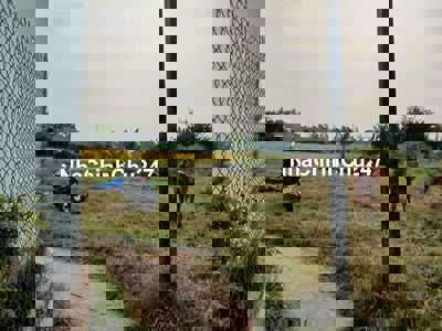 Đất chính chủ , tân nhựt , bình chánh