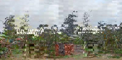 Bán đất ở tại Sóc Sơn 630m2 - Sổ đỏ chính chủ