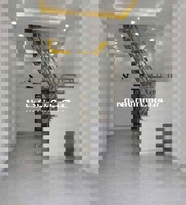 Tìm chủ mới về nhà đón tết