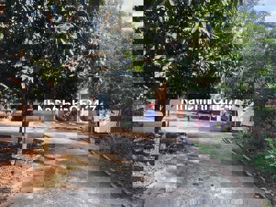 Cơ hội đầu tư: Đất vườn chính chủ xã Trị An, Vĩnh Cửu, đường Xó