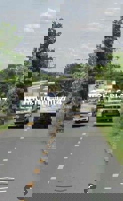 chính chủ gửi bán nhà cấp 4 xẹt Bùi công trừng (9x12) giá 3 ty 3