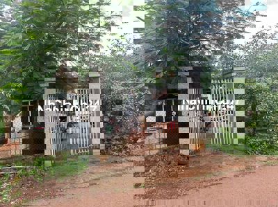 Chủ thay đổi chỗ ở nên nhượng lại mãnh nhà vườn tâm huyết,dt 1héc