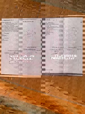 Chính chủ bán ĐẤT THẠNH SƠN,PHƯỚC TÂN,XUYÊN MỘC,BRVT(Xã HỒ TRÀM,TP HCM