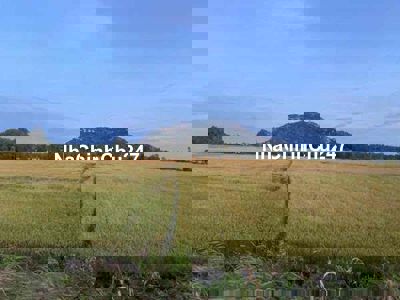 cần bán đất chính chủ quốc lộ 91 vĩnh tế an giang chính chủ.