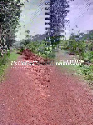 512m2 Cần Bán Đất Chính Chủ Giá Bao Rẻ Nhất Khu Vực