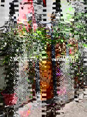 Chính chủ bán nhà nguyên căn 1 trệt 3 lầu,4PN hẻm xe hơi tại gò vấp