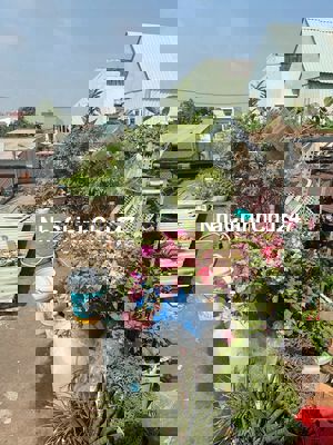 CHÍNH CHỦ CẦN BÁN NHÀ CẤP 4, ĐÔNG HOÀ. DT 67M. 2WC,2PN. GẦN TRƯỜNG,CHỢ