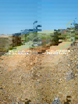 Đất trồng cây lâu năm chính chủ tại xã Đinh Lạc