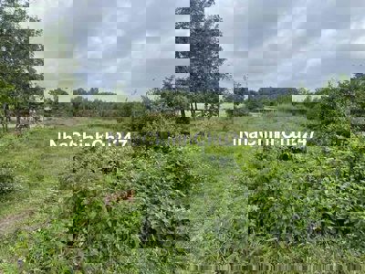 Chính chủ cần bán đất tại đường Hồ Chí Minh, 6 tỷ, 1646.7 m2, DTC, phá