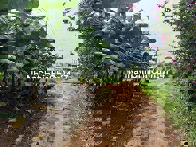 CHỦ HẠ GIÁ GẤP 1 SÀO ẤP 1 XUÂN TÂY