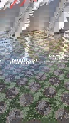 Chính chủ bán Q12, không tiếp quảng cáo